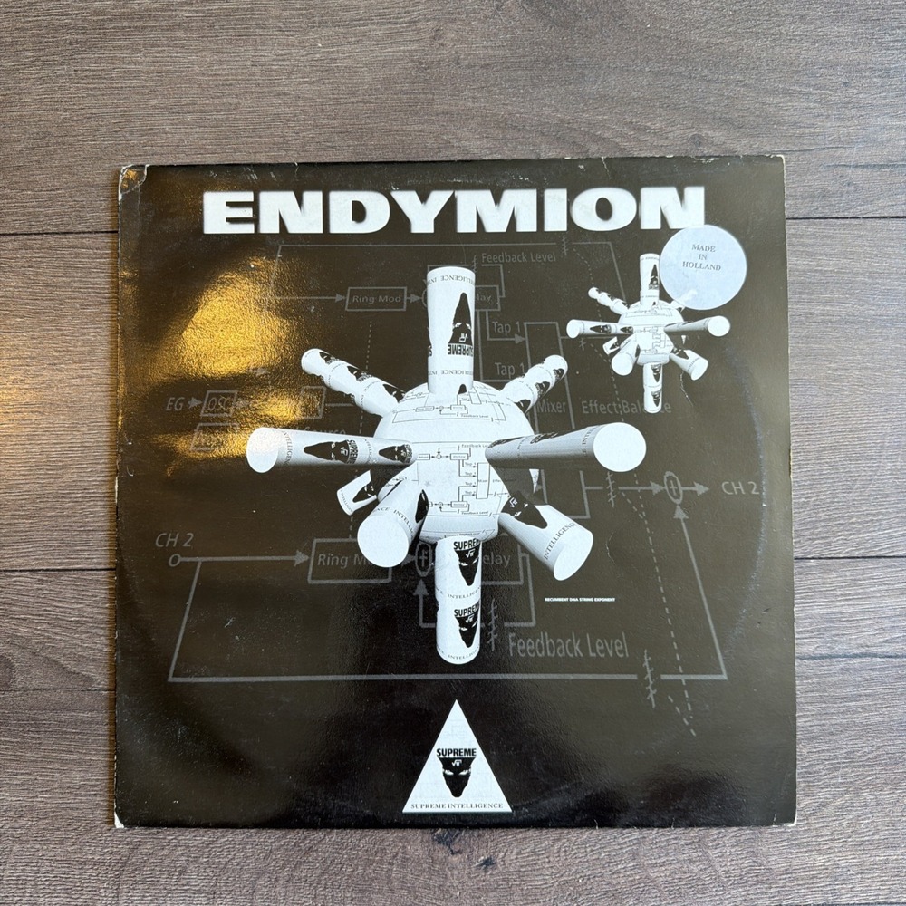 Endymion Recumbent DNA String Exponent Record Electric Acid Hardcore Holland